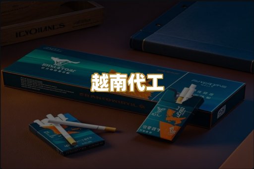越南代工